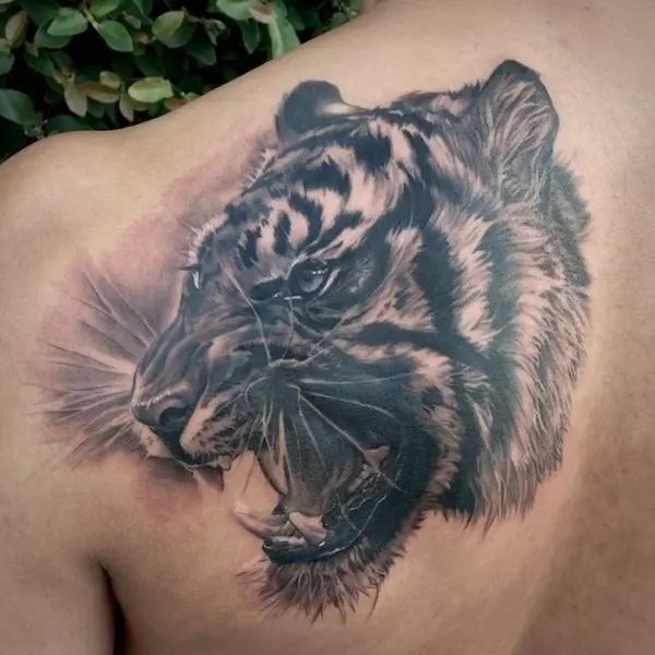 Tiger