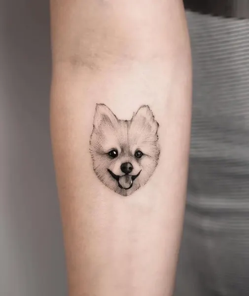 Flower, Rose, 잎, 단풍잎, 은행잎