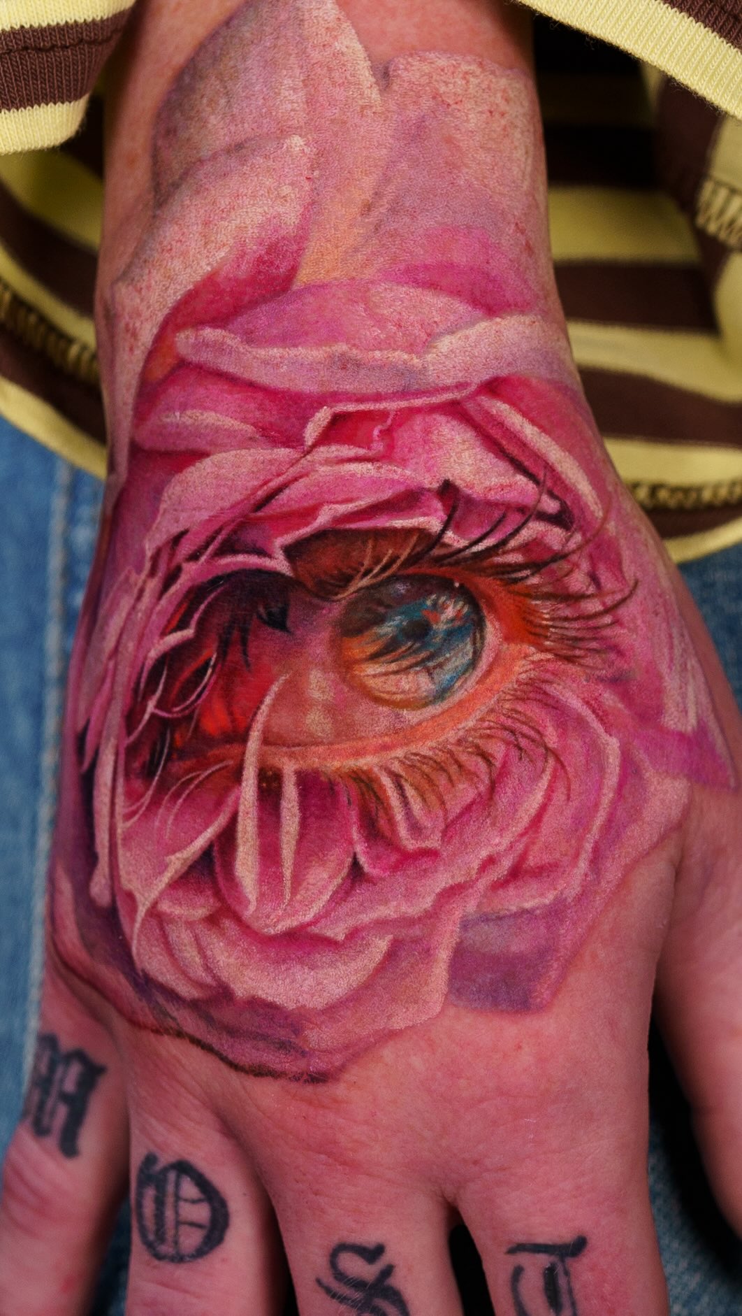 Flower, Rose, 눈 초상