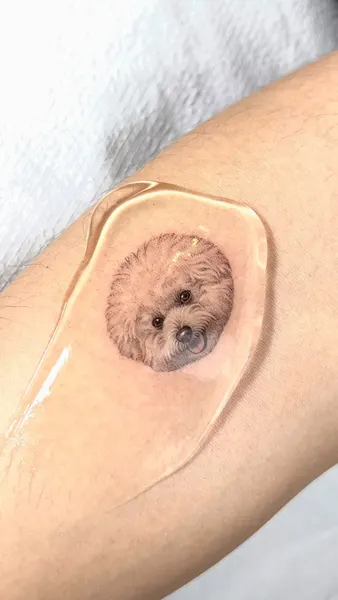 고슴도치