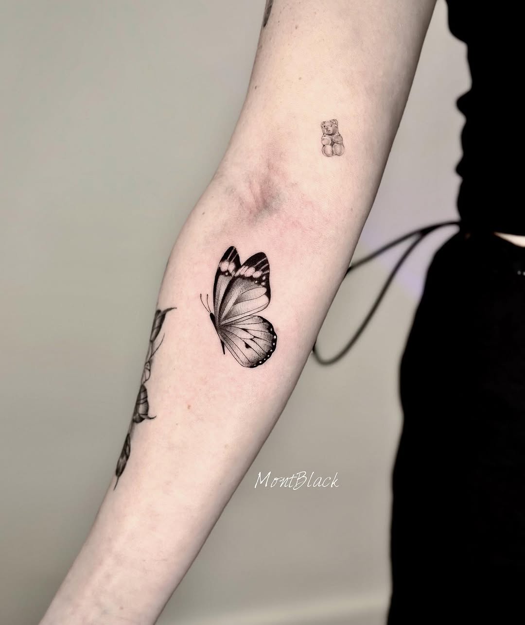 쥐, Animal, Nature
