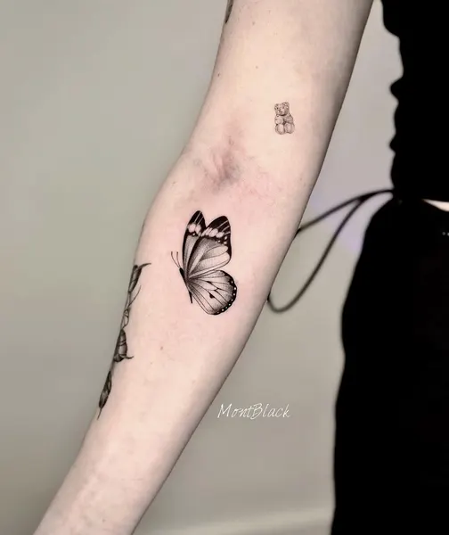 쥐, Animal, Nature
