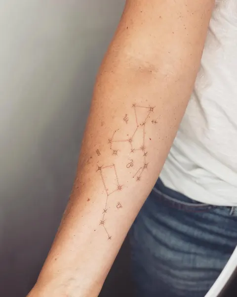 별들, 성좌, Lettering, 별, 혜성, 별자리, 비대칭, 불가사리, 사수자리, 코스모스, 황소자리, 물고기자리, 플래시 타투, 무한, 운명, 패턴, 물병자리, 처녀자리, 쌍둥이자리
