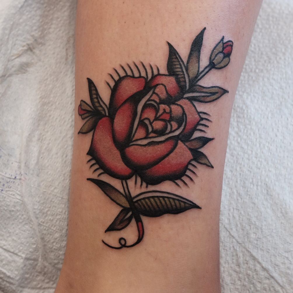 Flower, Rose