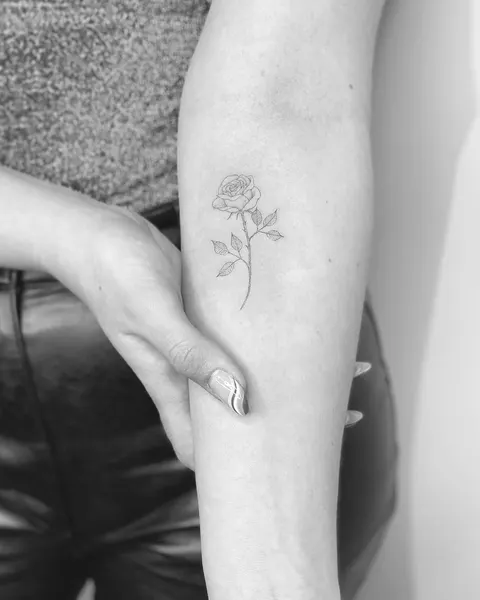 Flower, 데이지