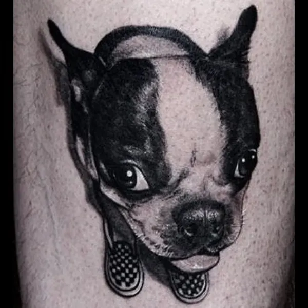 Animal