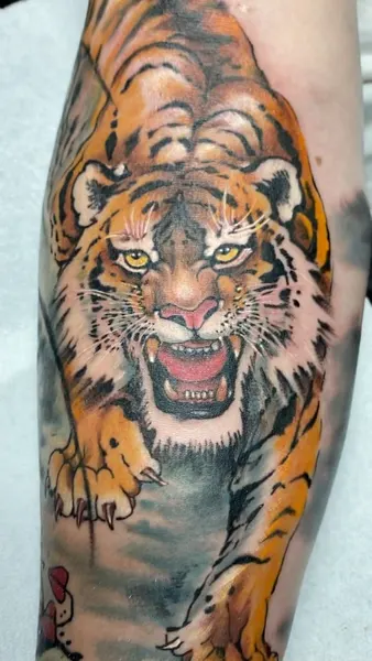 Tiger, 한국 호랑이
