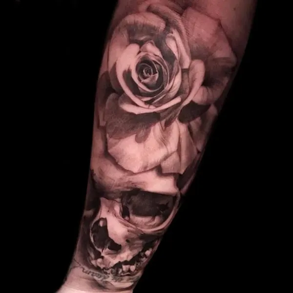 Flower, Rose