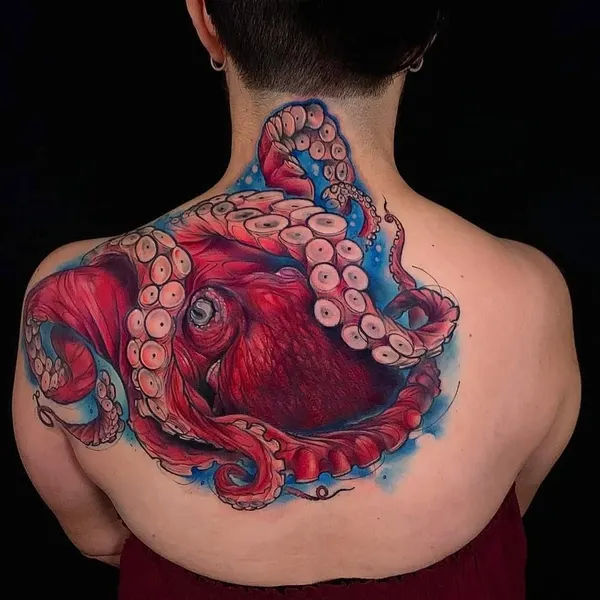 Animal, 문어