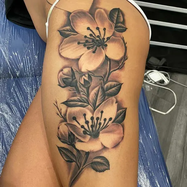 Rose, Flower