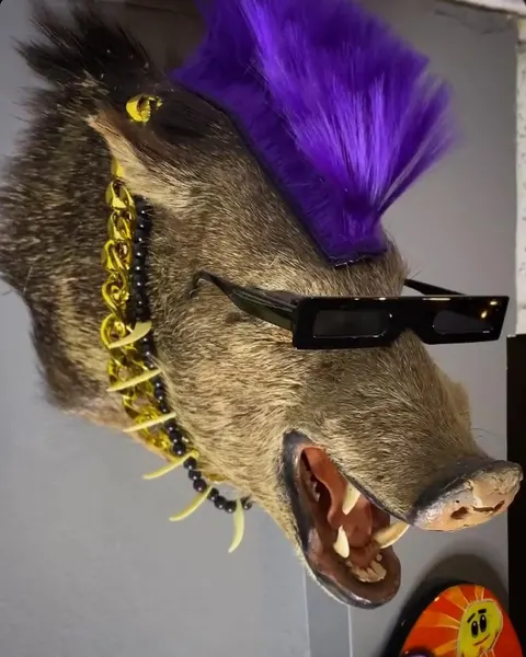 Animal