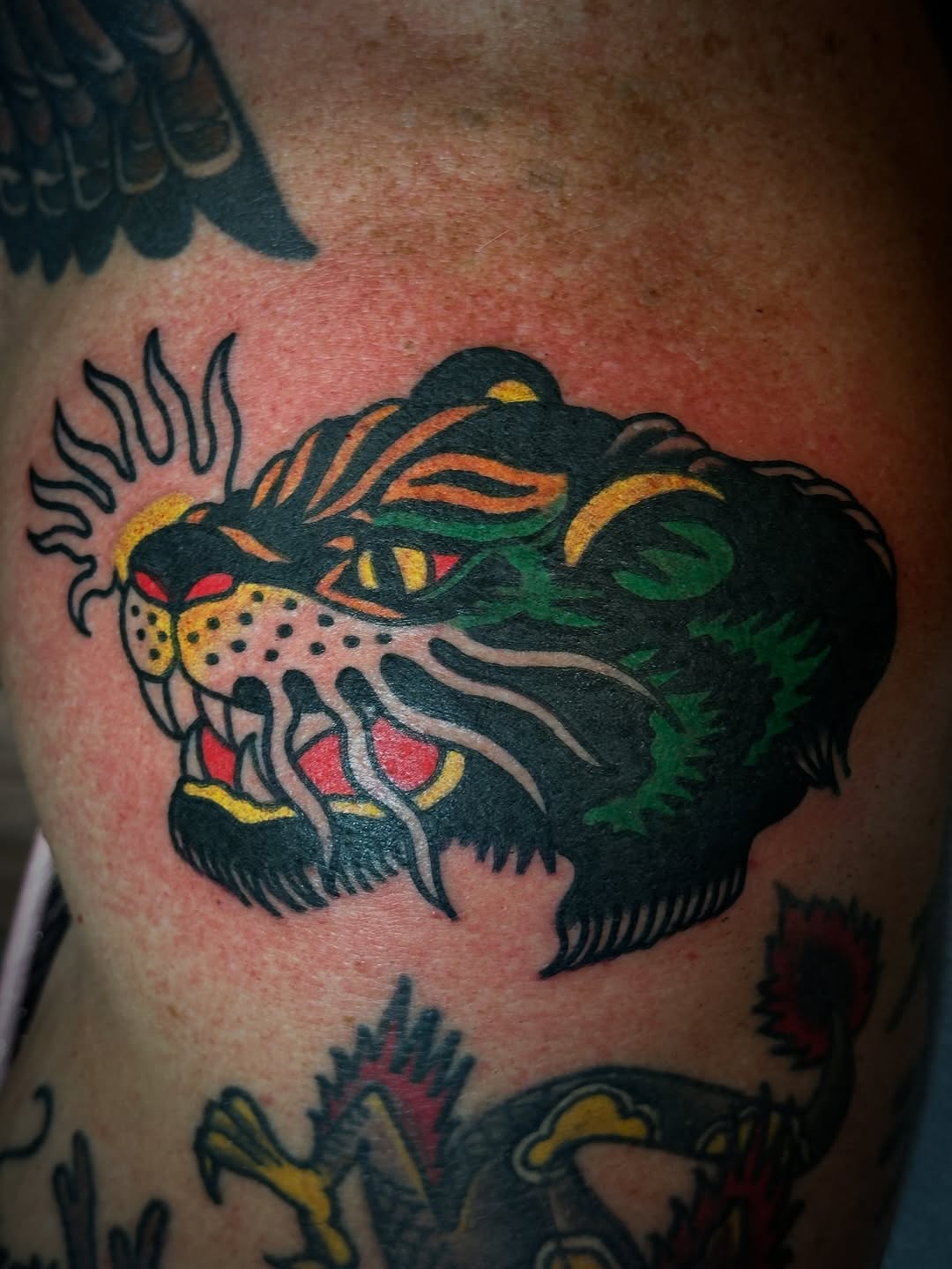 Tiger, Animal, 재규어