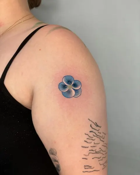 Flower, 양귀비, 아이리스
