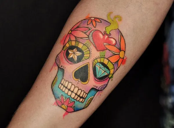 뼈, Skull