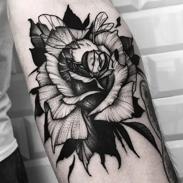 Flower, Rose