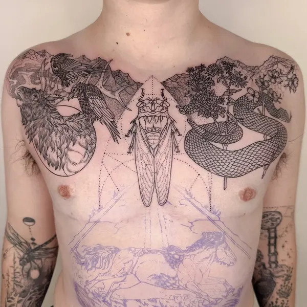 Animal, Nature