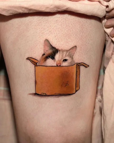 고양이