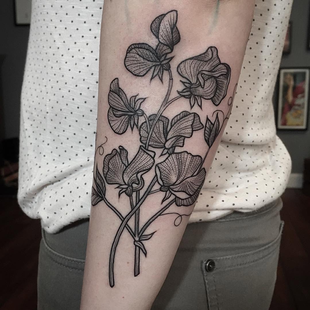 Flower, Rose, 수국