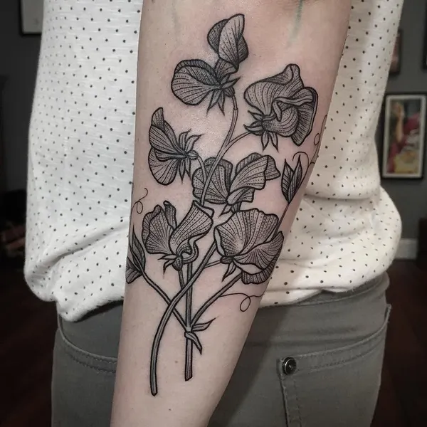 Flower, Rose, 수국