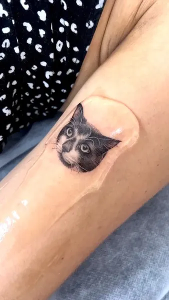 고양이, 텐구, 반려동물