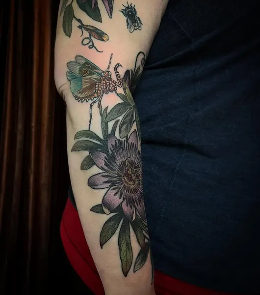Flower, Rose