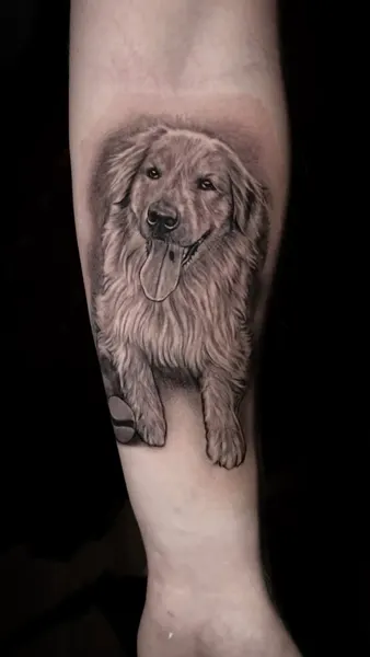 Animal