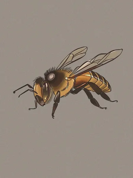 Animal