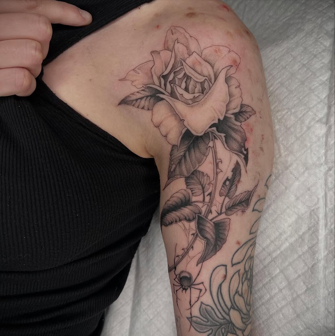 Flower, Rose, Nature