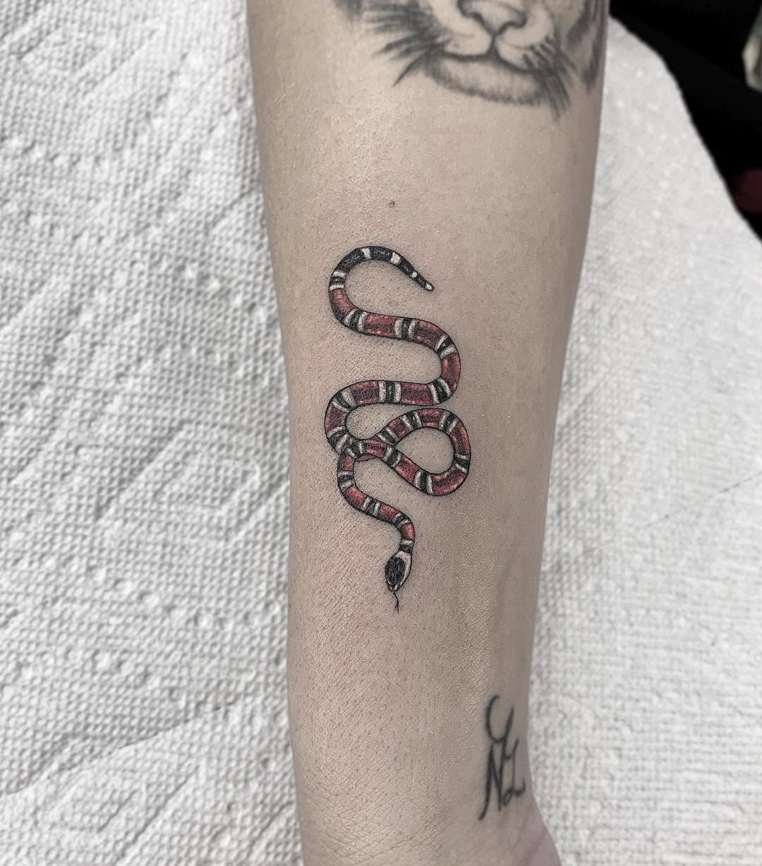 Dragon, 체인, Snake