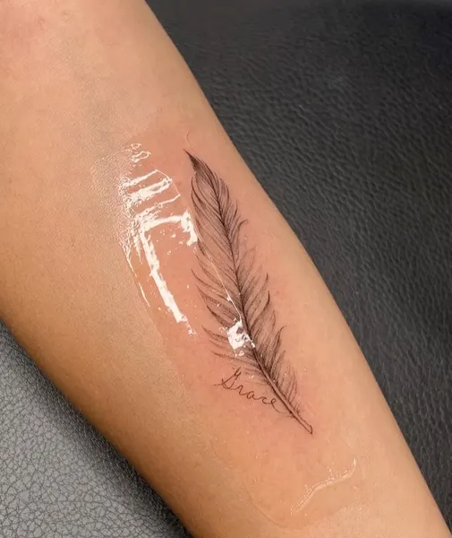 잎, Nature, 멘디, 깃털, 아이리스, 민들레