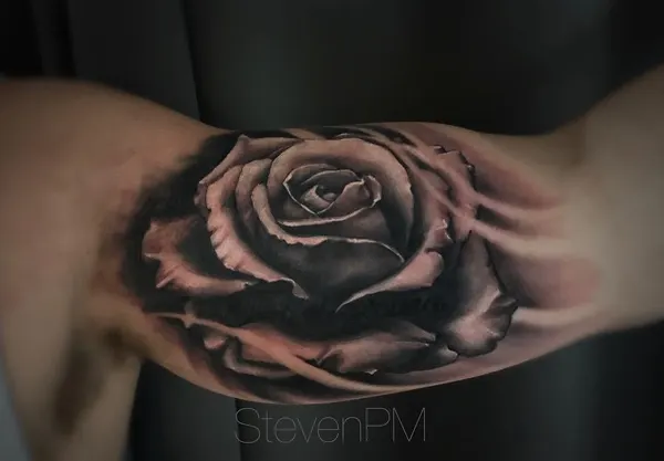 Flower, Rose