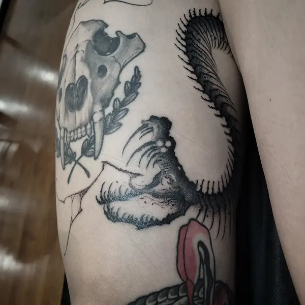 Dragon