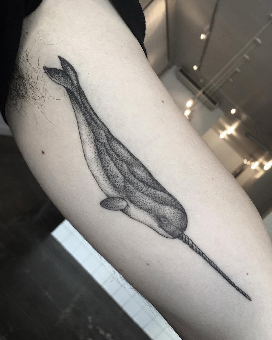 고래, 돌고래, Animal