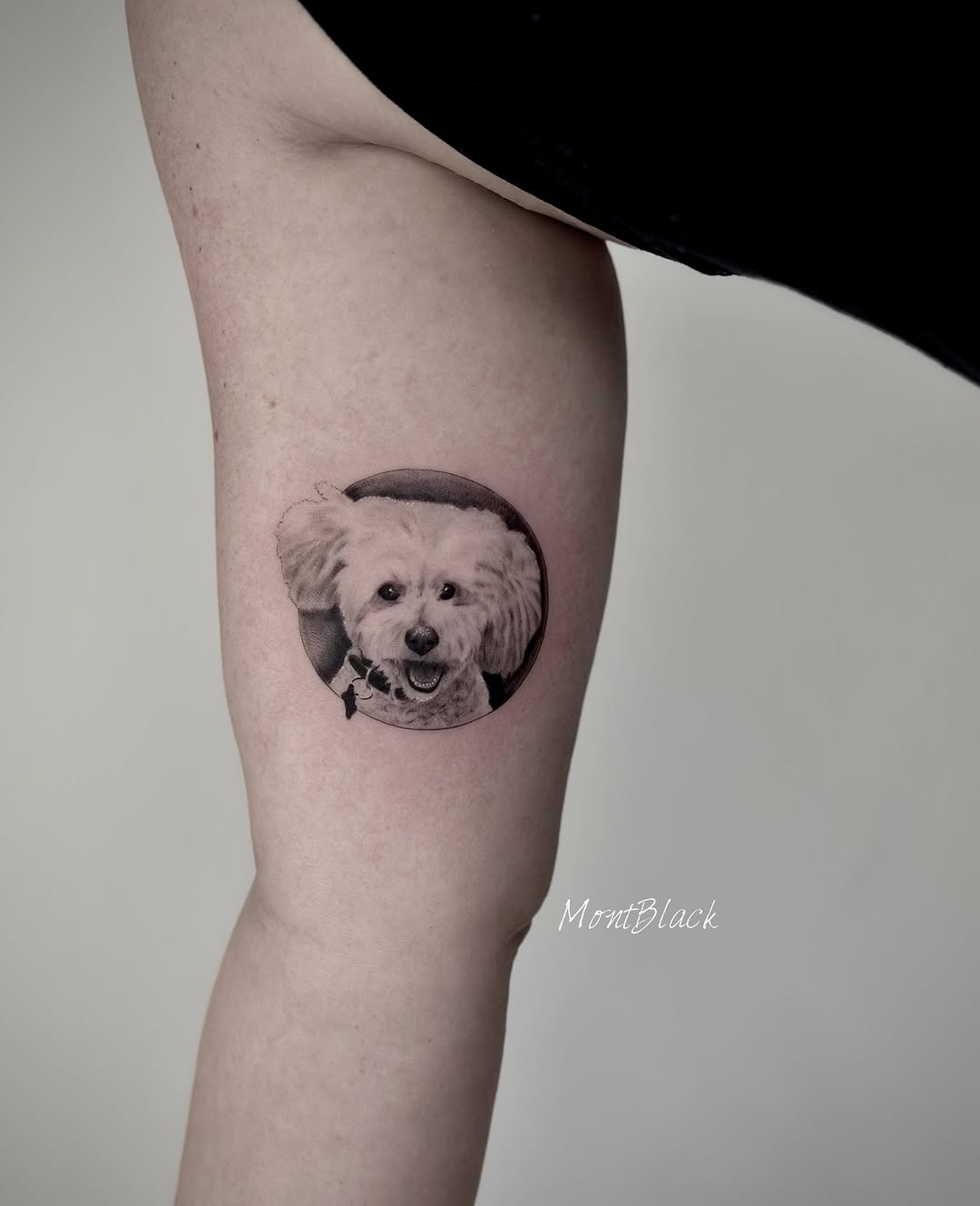 Animal, Mini, 반려동물 추모