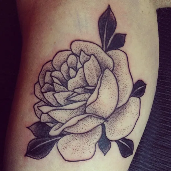 Flower, Rose