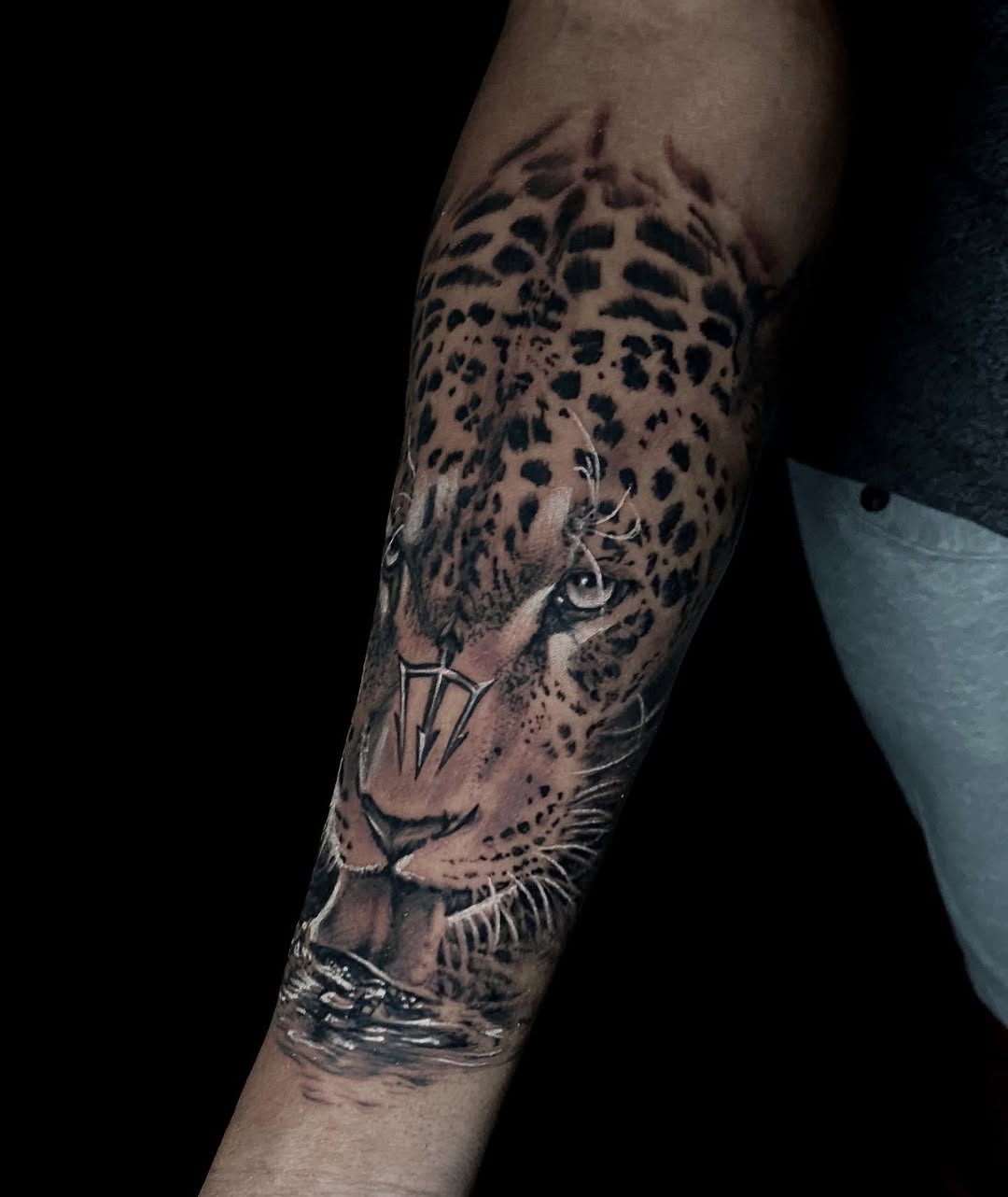 Animal, 치타, 표범, 재규어