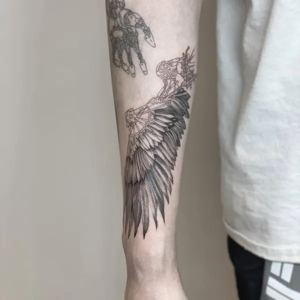 loko_lines