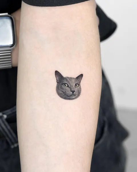 고양이