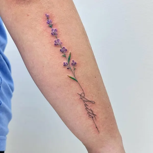 Flower, 라벤더