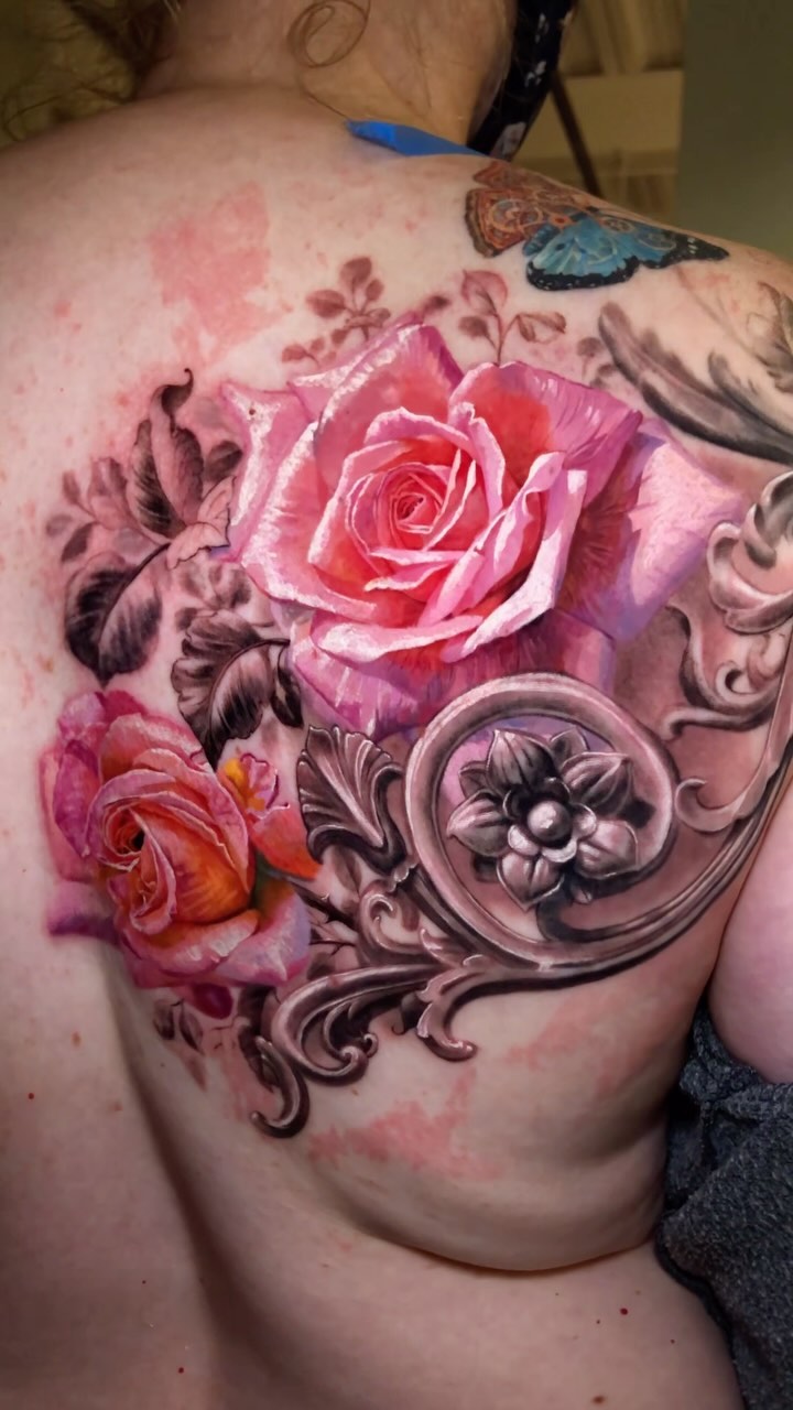 Flower, Rose, Nature