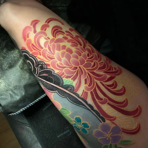 Flower, Rose