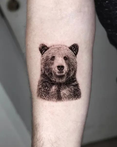 Animal, 곰