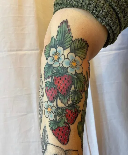 Flower, 과일, 딸기, 목련, 히비스커스