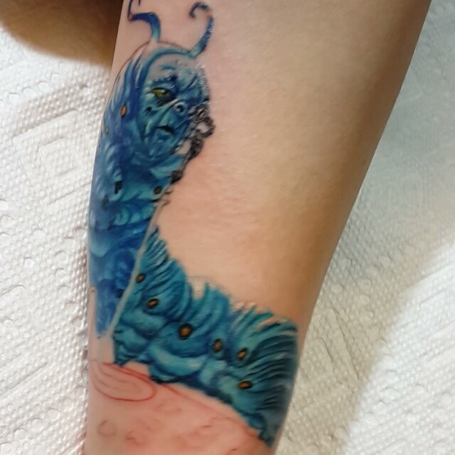 Dragon, 랍스터