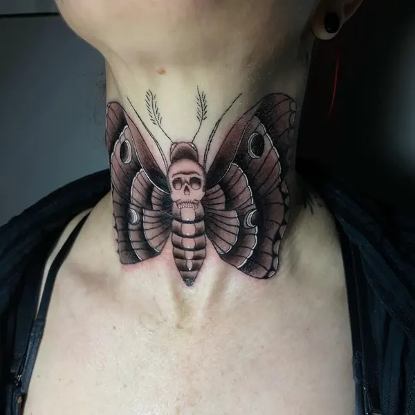 Nature, Animal, 매미, 나방