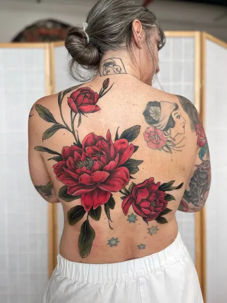 Flower, Nature, Rose