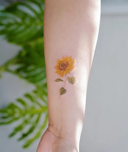 Flower, 해바라기, 데이지