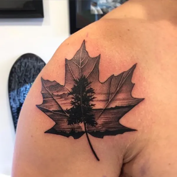 Flower, 잎, 허브, 단풍잎, 은행잎, 일본 단풍