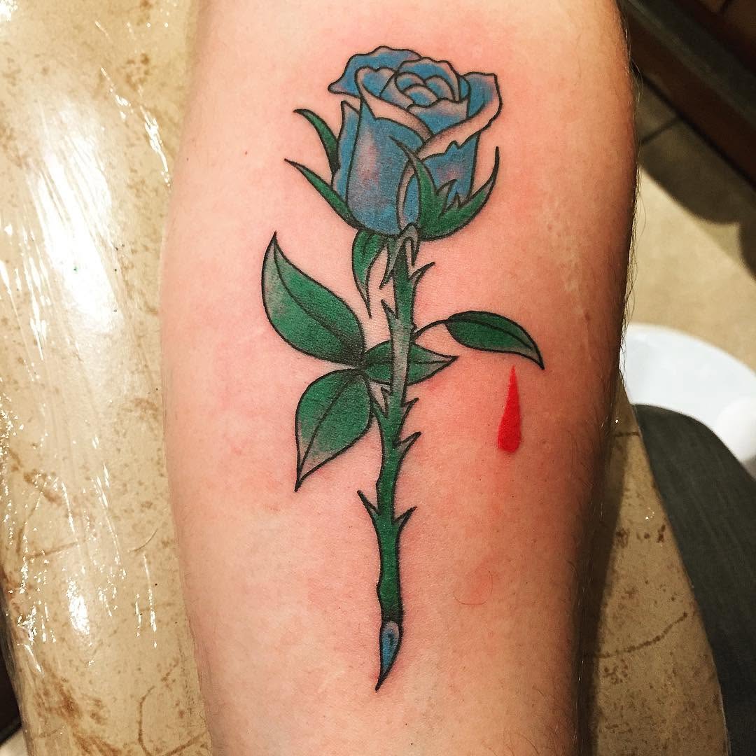 Flower, Rose, Nature