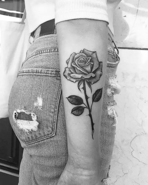 Flower, Rose
